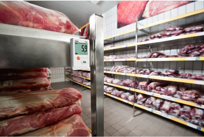 TESTO 174 T - ARAYÜZ İLE ÇALIŞAN MİNİ SICAKLIK DATA LOGGER - Görsel 5