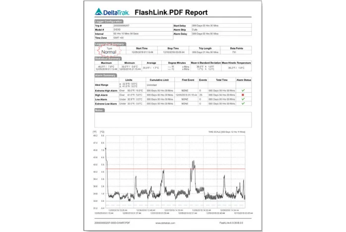 FLASHLİNK MODEL 30000 pdf raporu ornek goruntu